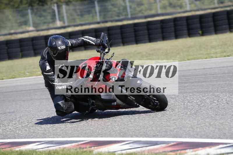 /46 11.08.2025 PADDYS-RACES-DAYS ADR/Starter-Hobby/23